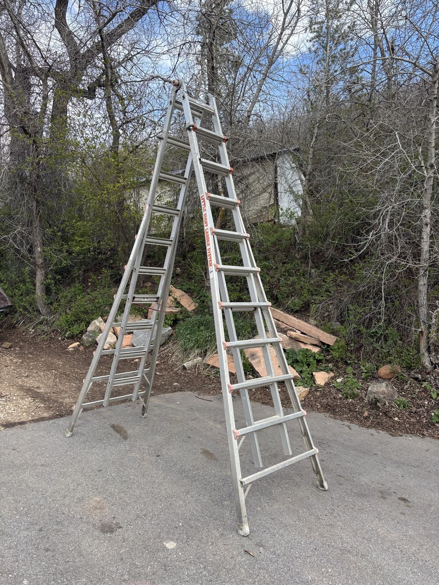 Little Giant Skyscraper M19 Ladder