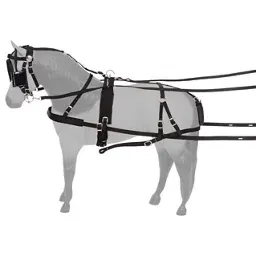 Full size leather horse harness