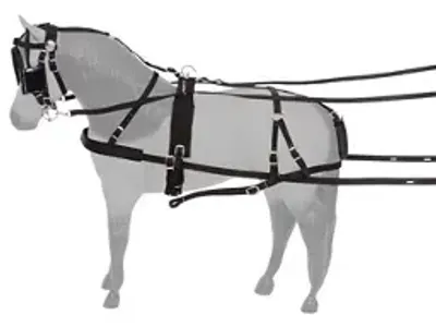 Full size leather horse harness