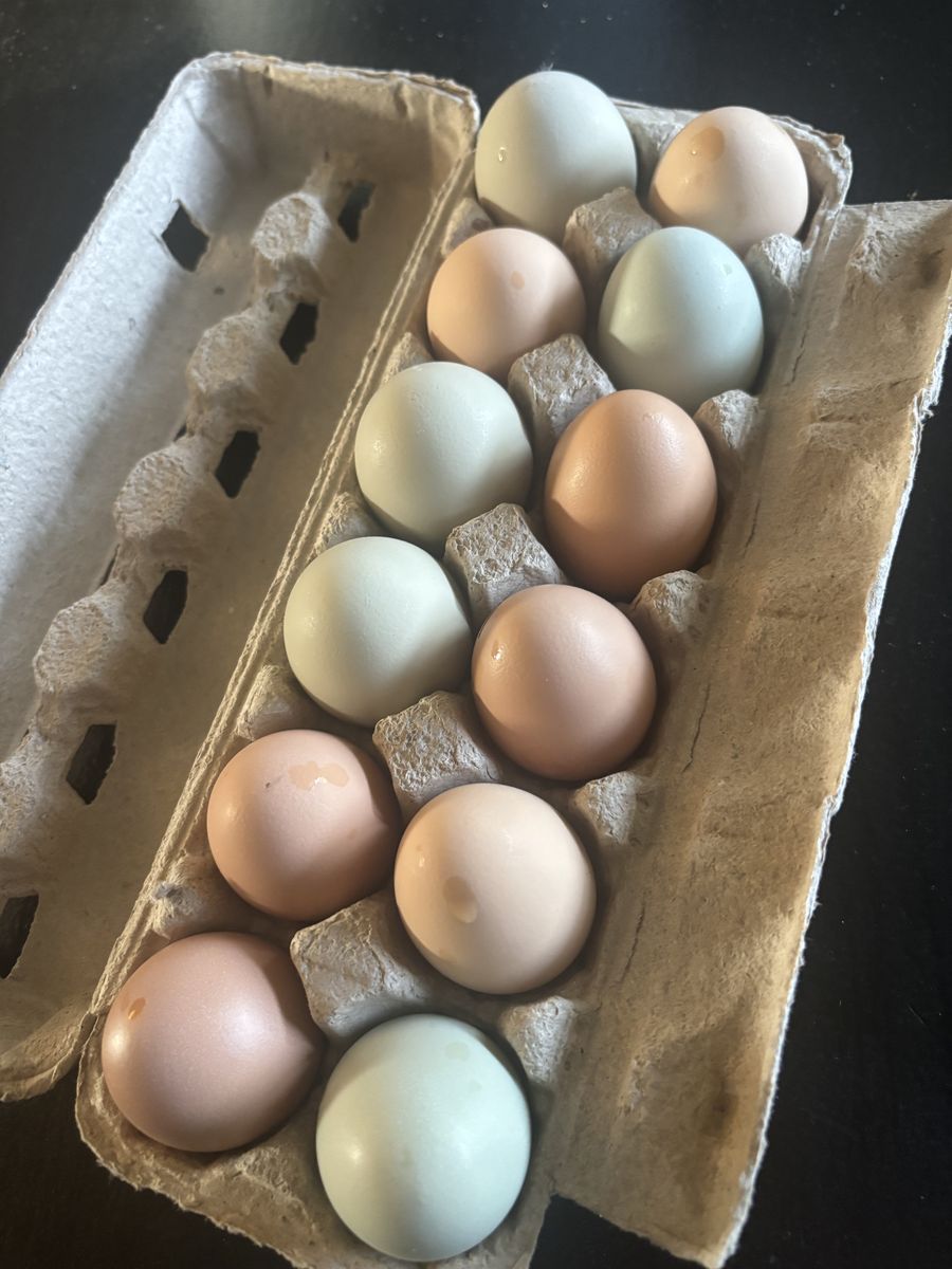 Farm Fresh Eggs