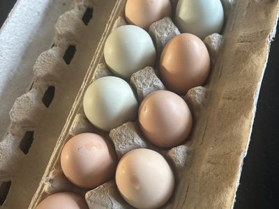 Farm Fresh Eggs