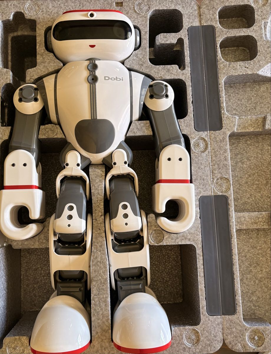 Roboactor Dobi Intelligent Robot Toy White and Gray with Red Accents (Missing Original Box)