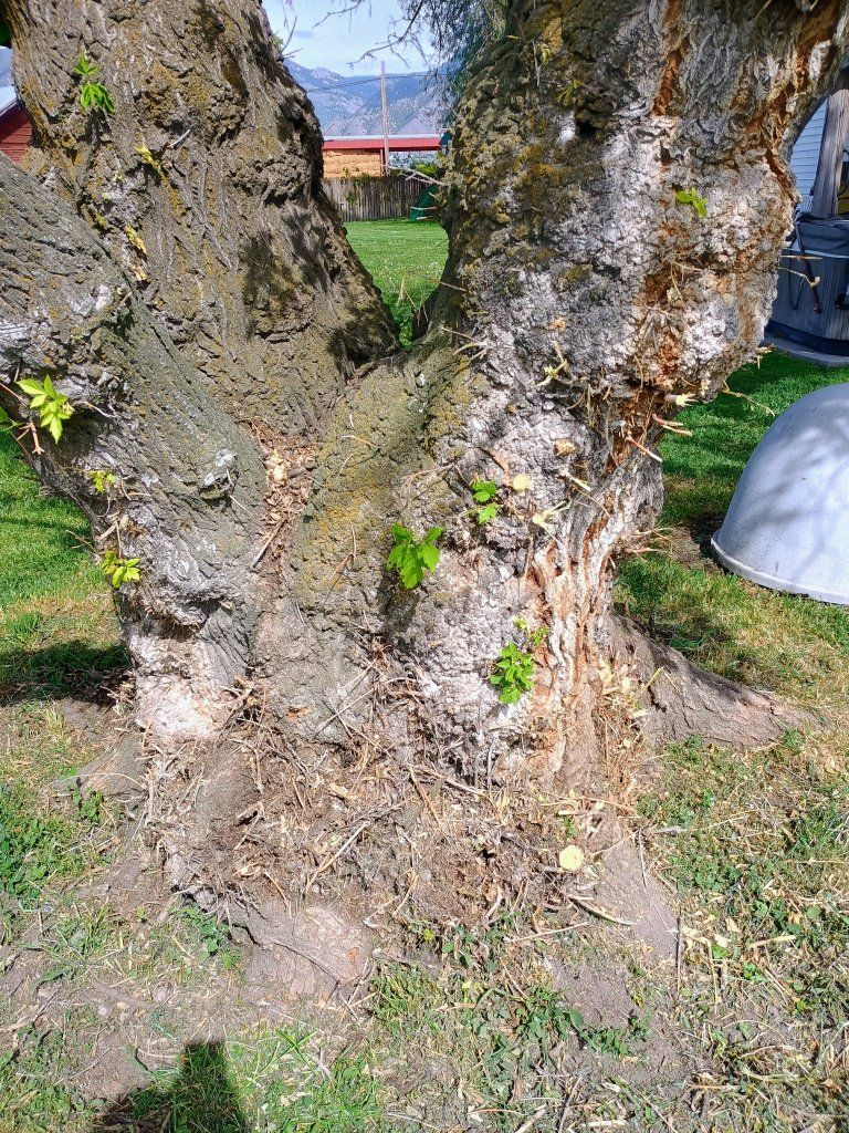 Main image 4