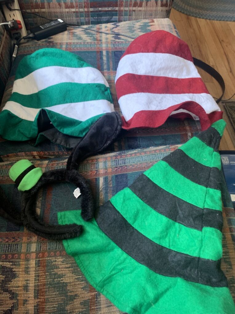 Dr. Seuss, Goofy Or Witch Hat, Halloween Costume