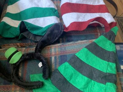 Dr. Seuss, Goofy Or Witch Hat, Halloween Costume