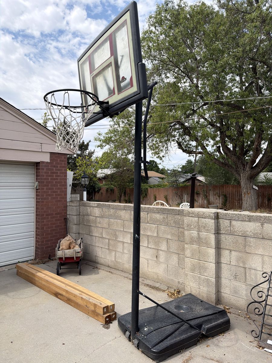 Lifetime Portable Basketball Hoop with Adjustable Height and Base