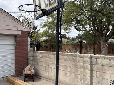 Lifetime Portable Basketball Hoop with Adjustable Height and Base