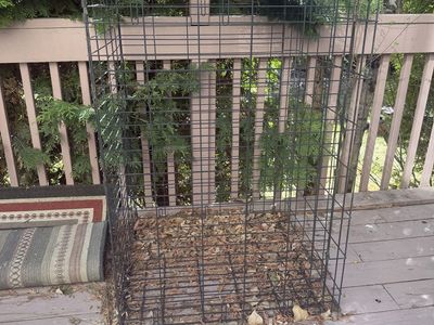 Extra Large Dog Kennel