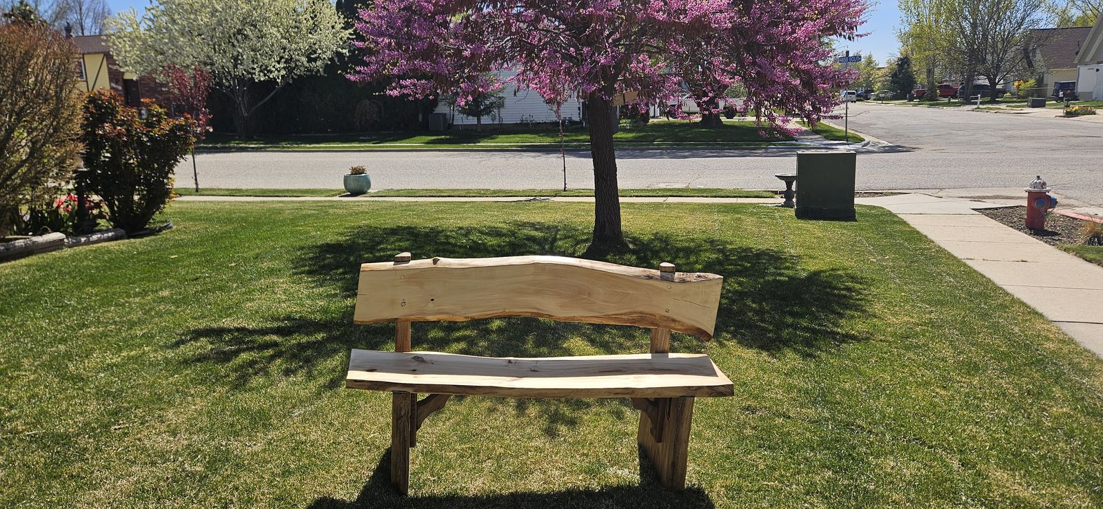 Handmade custom live edge elm bench