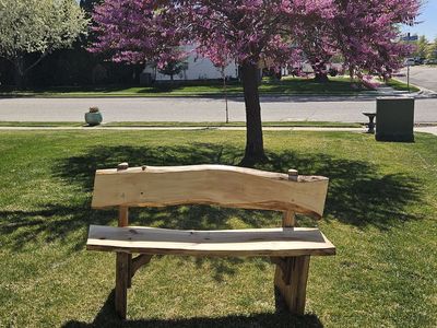Handmade custom live edge elm bench