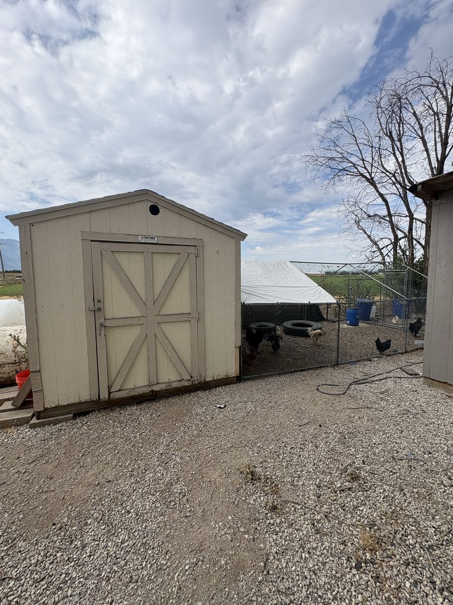 Full chicken coop set up 