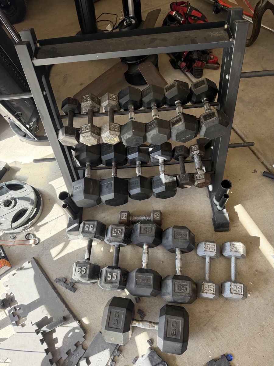 Rack & Dumbbells