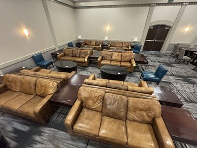 Leather Sofa Bed
