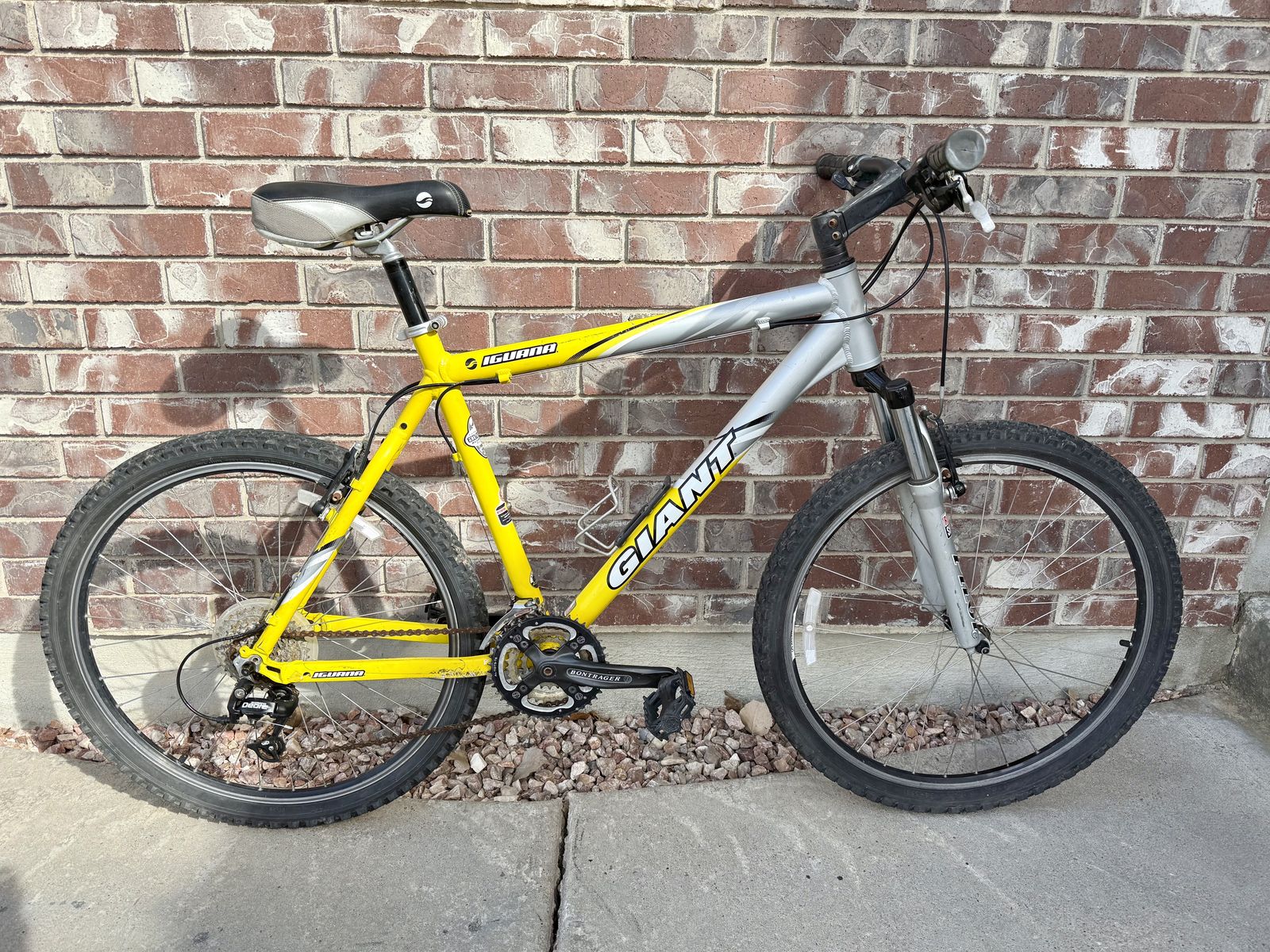 XL Giant Iguana Hardtail Mountain Bike