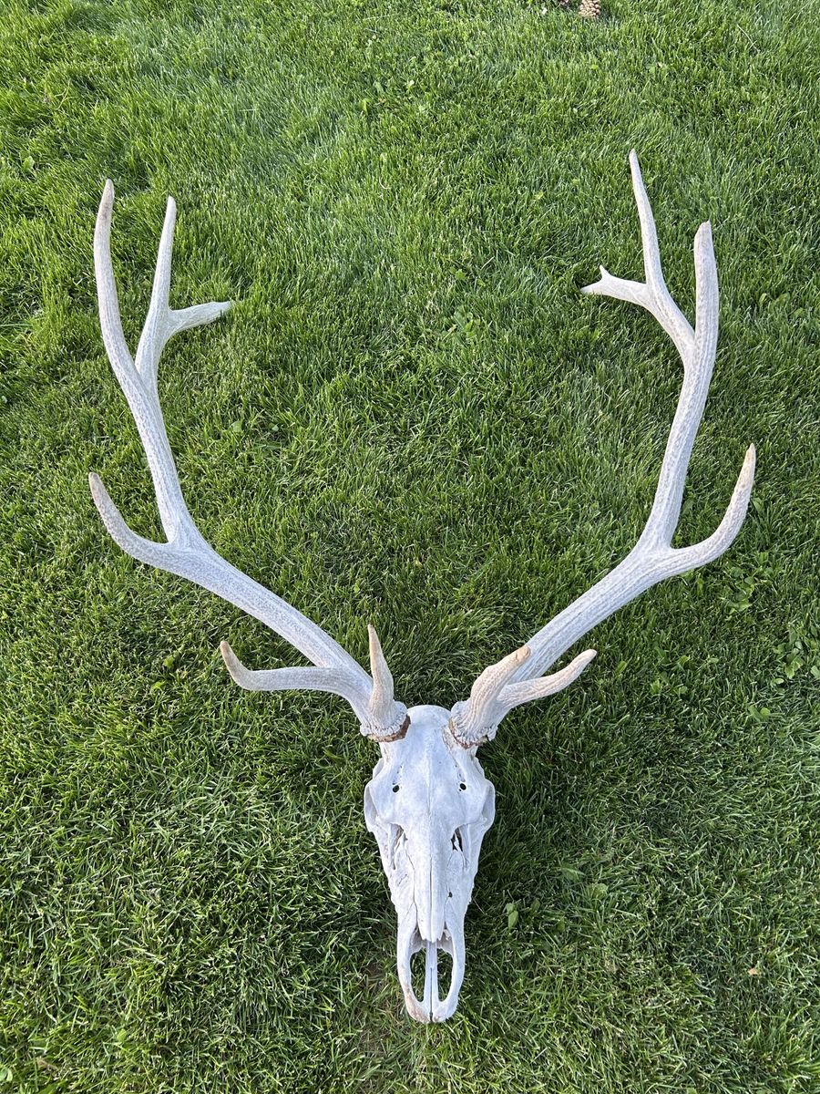 Main image 5
