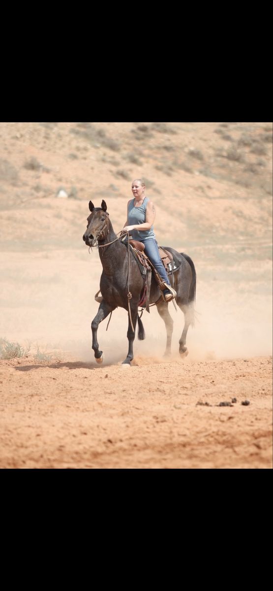 AQHA mare. NRCHA money earner.