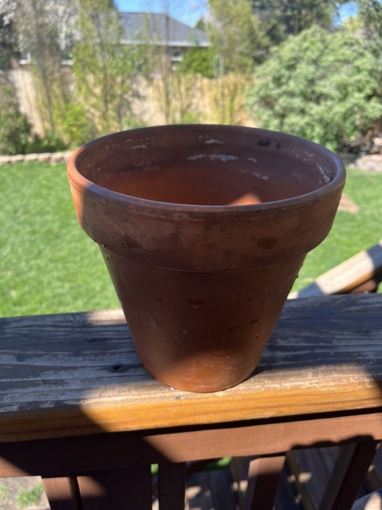 Flower / Vegetable Plantar