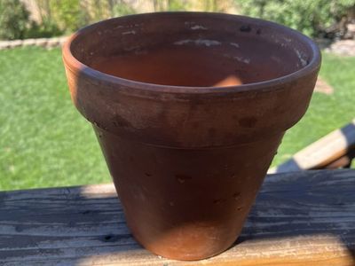 Flower / Vegetable Plantar