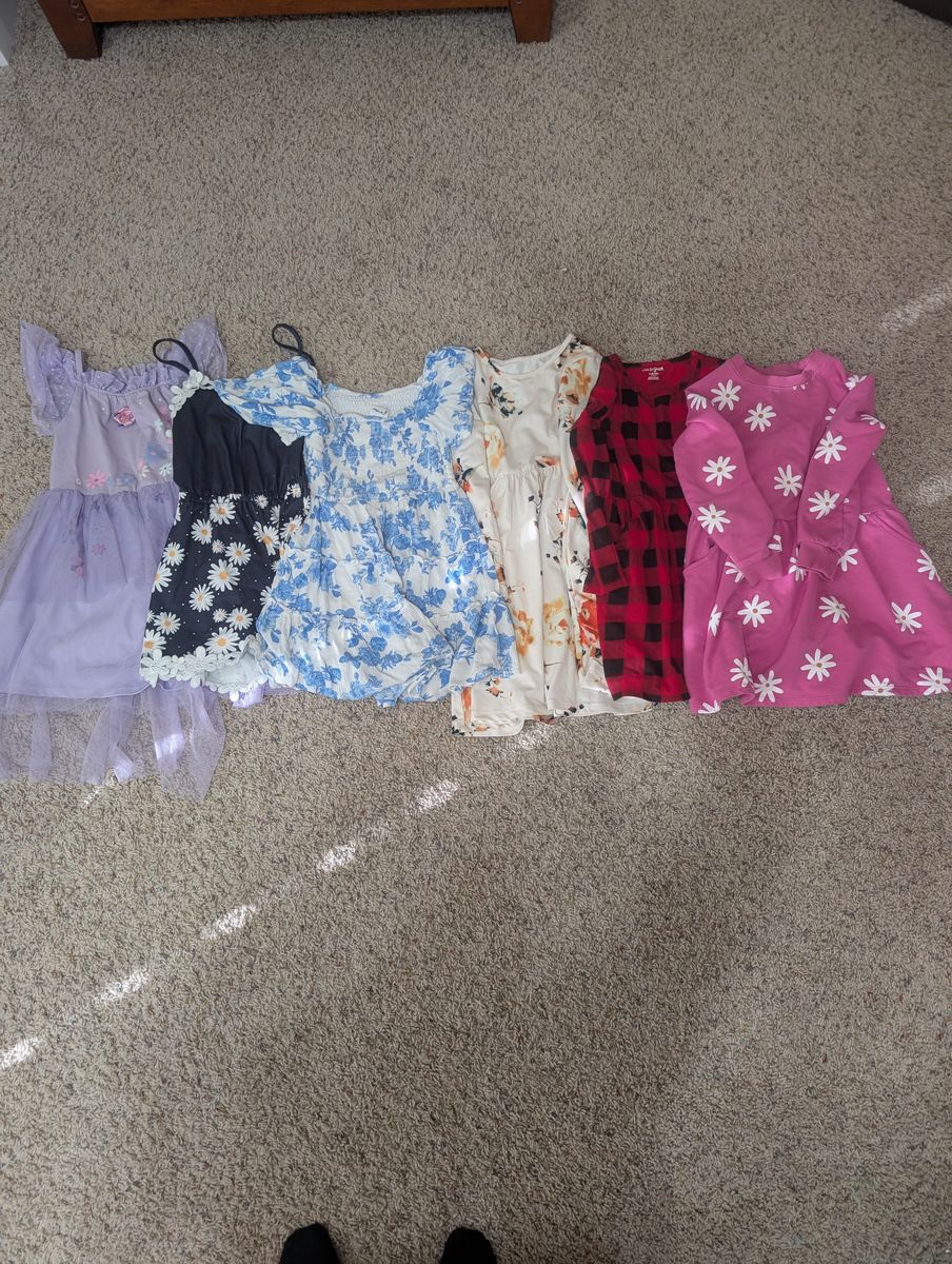 Girls clothes size 6