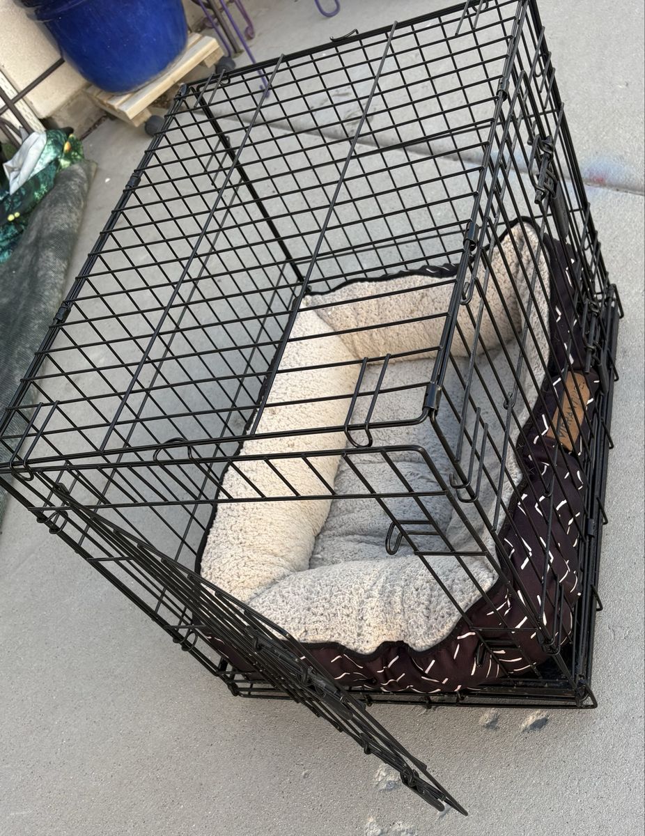 Dog Crate