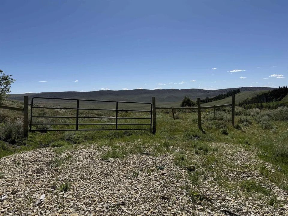 Main image 20