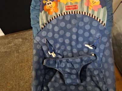 Baby bouncer