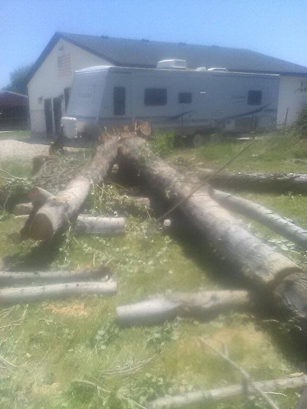 firewood