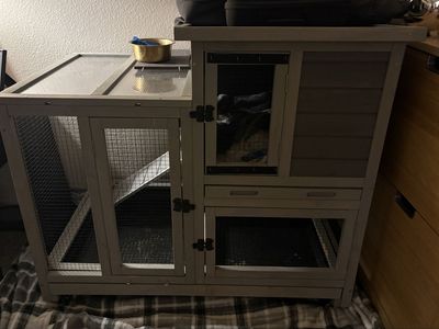 Rabbit or small chicken hutch