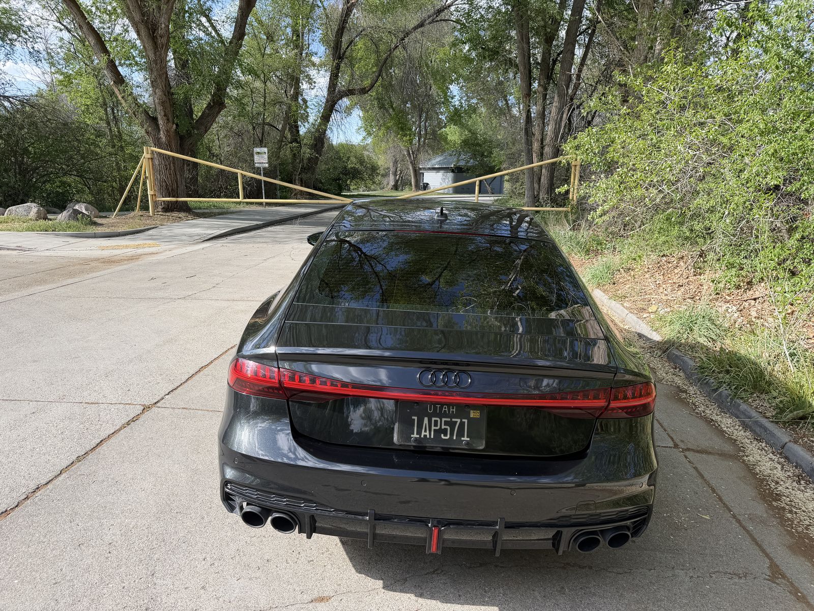 Main image 6
