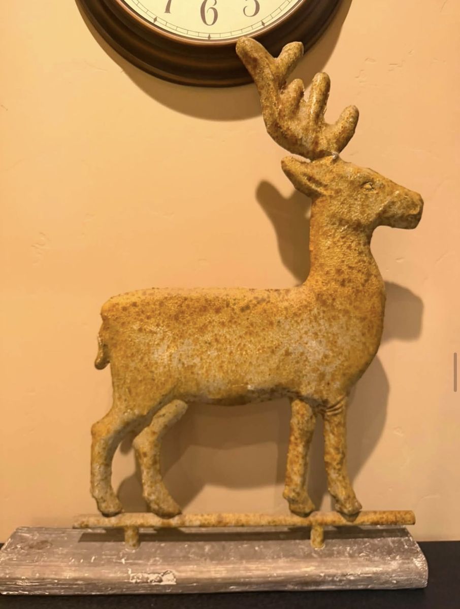 Main image 12