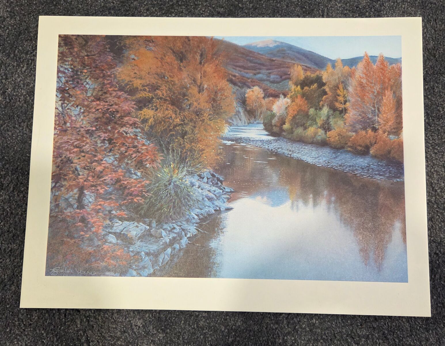 Set of 3 prints by Erla Young