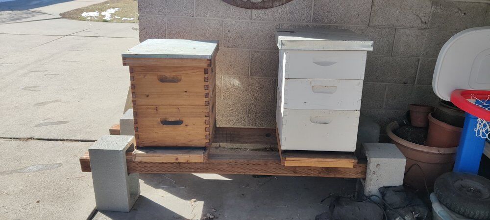 Beehive setup