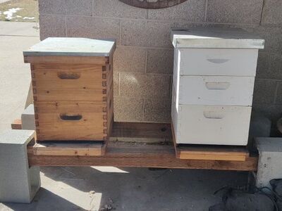 Beehive setup