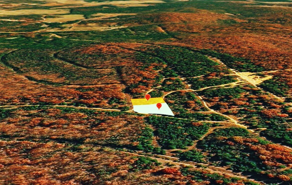 Main image 6