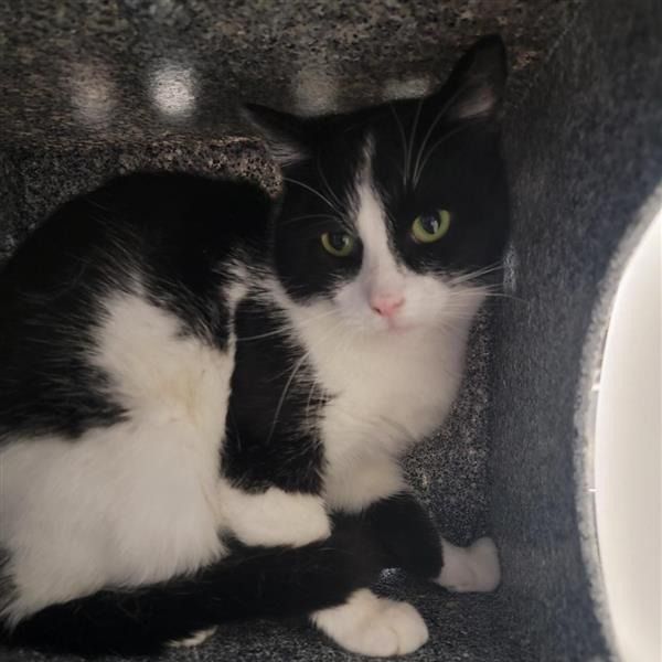 Hello my name is Redbull