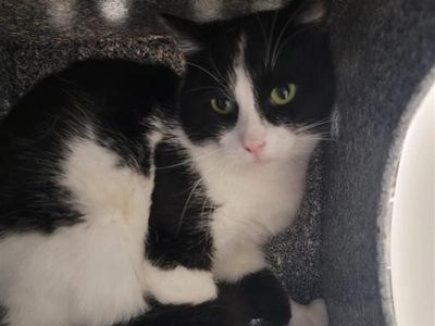 Hello my name is Redbull