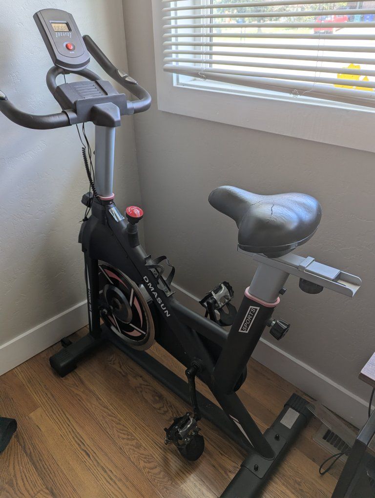 Dmasun Indoor Cycling Bike