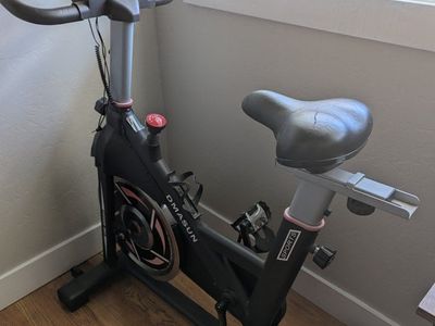 Dmasun Indoor Cycling Bike