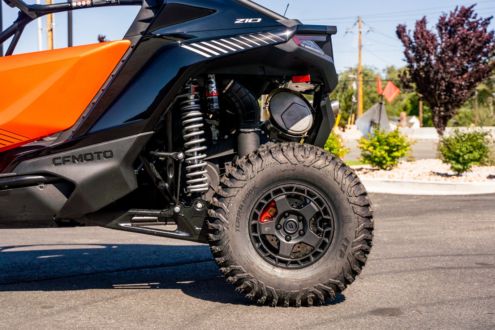 Main image 8