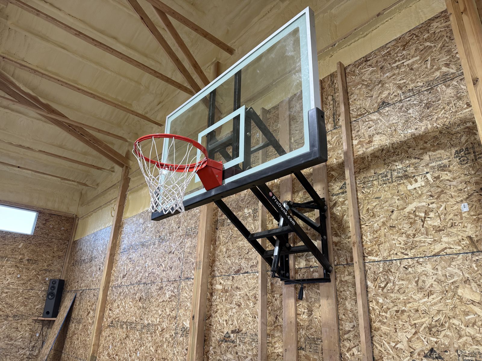 Pro Dunk Basketball Hoop