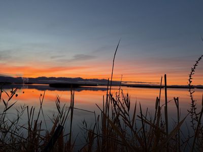 Ambassador Duck Club Membership Share For Sale