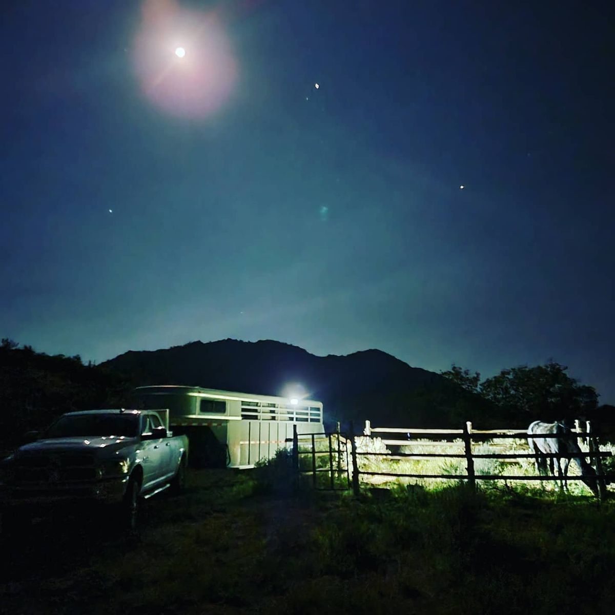 1995 4 horse trailer