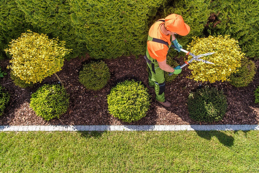 Local landscaping services