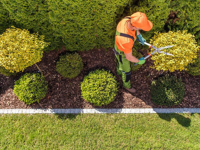 Local landscaping services