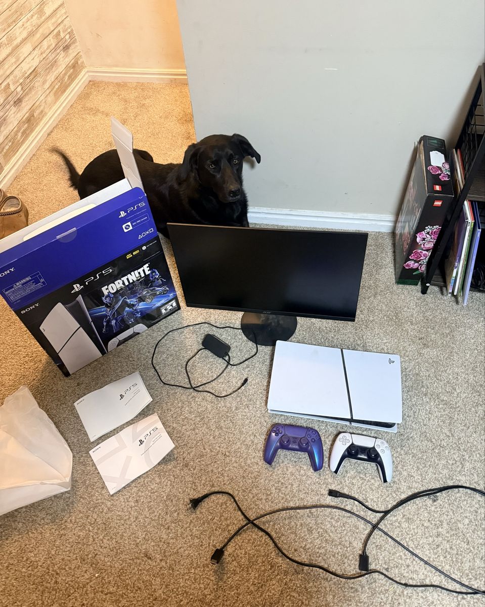 Ps5 and monitor
