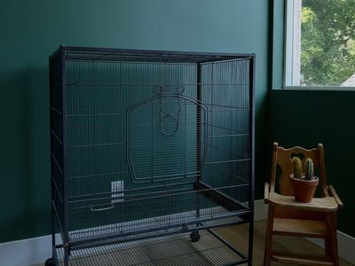 Bird Cage!