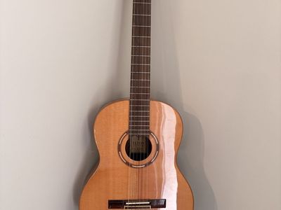 Beautiful guitar w/ stunning tonal quality + extras