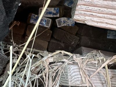 2X4's, 2X6's and 5X5's