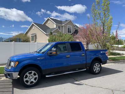 2010 Ford F-150 Platinum