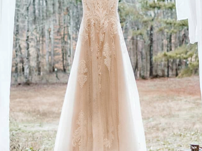Allure Bridals Lace A-Line Wedding Dress - Tulip Sleeves & Champagne Underlay - Size 2